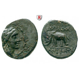 Syrien, Königreich der Seleukiden, Antiochos III., Bronze 223-187 v.Chr., ss