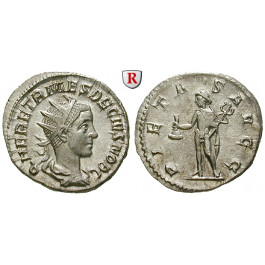 Römische Kaiserzeit, Herennius Etruscus, Caesar, Antoninian 250-251, vz-st/vz