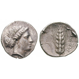 Italien-Lukanien, Metapont, Stater 340-330 v.Chr., ss-vz