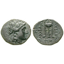 Syrien, Königreich der Seleukiden, Antiochos II., Bronze, vz