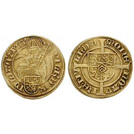 Jülich-Kleve-Berg, Herzogtum Jülich-Berg, Wilhelm IV., Goldgulden 1501, ss+