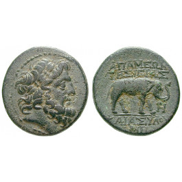 Seleukis und Pieria, Apameia, Bronze Jahr 243 = 70-69 v.Chr., ss-vz