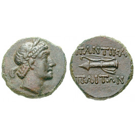 Taurische Chersones, Pantikapaion, Bronze 1. Jh.v.Chr., ss-vz