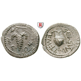 Judaea - Bar Kochba-Aufstand, Denar 133-134 (Jahr 2), vz