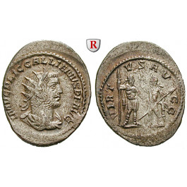 Römische Kaiserzeit, Gallienus, Antoninian 255-256, ss-vz