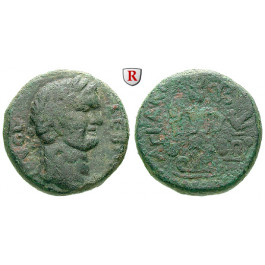 Römische Provinzialprägungen, Judaea, Askalon, Domitianus, Bronze 85-86, s-ss