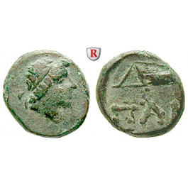 Taurische Chersones, Pantikapaion, Bronze 250-200 v.Chr., ss+