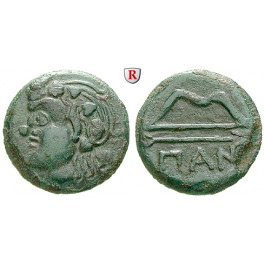 Taurische Chersones, Pantikapaion, Bronze 350-300 v.Chr., ss