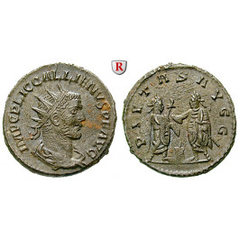 Römische Kaiserzeit, Gallienus, Antoninian 255-256, vz+