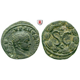 Römische Provinzialprägungen, Seleukis und Pieria, Antiocheia am Orontes, Elagabal, Bronze, ss