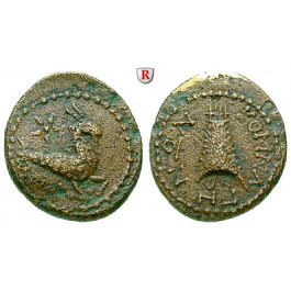 Kommagene, Königreich, Antiochos IV., Bronze 38-72, ss+