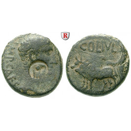 Römische Provinzialprägungen, Phönizien, Berytus, Augustus, Bronze 12-14 n.Chr., ss