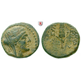 Seleukis und Pieria, Apameia, Bronze 1.Jh. v.Chr., ss/f.ss