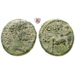 Römische Provinzialprägungen, Phönizien, Berytus, Augustus, Bronze 12-14 n.Chr., ss