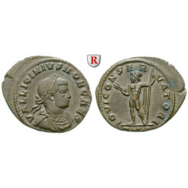 Römische Kaiserzeit, Licinius II., Follis 318, f.vz