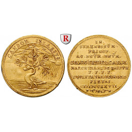 Brandenburg in Franken, Brandenburg-Bayreuth, Georg Friedrich Karl, Dukat 1727, ss+