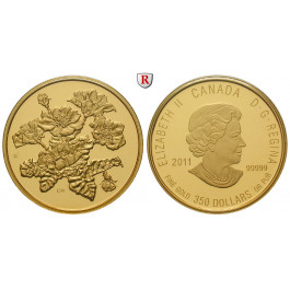 Kanada, Elizabeth II., 350 Dollars 2011, 34,97 g fein, PP