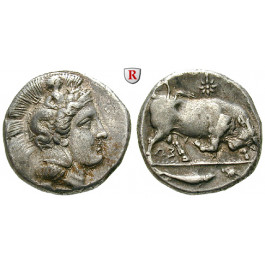 Italien-Lukanien, Thurium, Stater 350-300 v.Chr., ss-vz