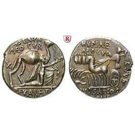 Römische Republik, M. Aemilius Scaurus und Pub. Plautius Hypsaeus, Denar 58 v.Chr., f.vz