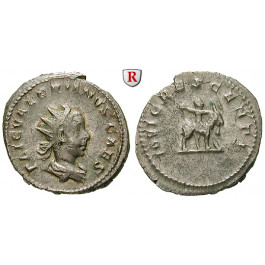 Römische Kaiserzeit, Valerianus II., Caesar, Antoninian 255-257, ss+