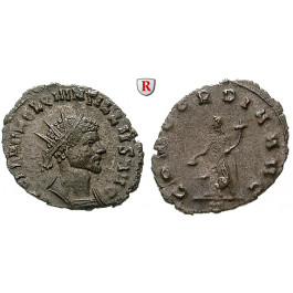 Römische Kaiserzeit, Quintillus, Antoninian 270, ss-vz