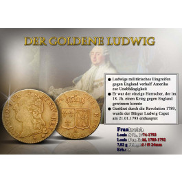 Frankreich, Louis XVI., Louis d´or 1785-1792, 7,02 g fein, ss