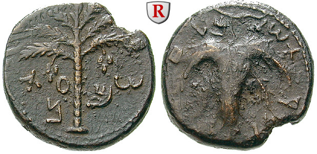 Judaea Bar KochbaAufstand, Bronze Jahr 2 = 133134, ss+