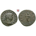 Römische Kaiserzeit, Florianus, Antoninian 276, ss-vz