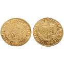 Pfalz, Kurpfalz, Ludwig III., Goldgulden o.J. (1427-1428), ss