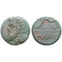 Taurische Chersones, Pantikapaion, Bronze 350-300 v.Chr., f.vz