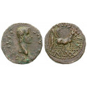 Römische Provinzialprägungen, Paphlagonien, Sinope, Caligula, Bronze 38-39, ss