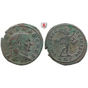 Römische Kaiserzeit, Severus II., Follis 305-306, ss+/ss