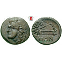 Taurische Chersones, Pantikapaion, Bronze 304/3-250 v.Chr., ss+