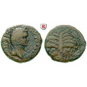 Römische Provinzialprägungen, Judaea, Neapolis, Domitianus, Bronze Jahr 11 = 82/3 n.Chr., s-ss