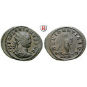 Römische Kaiserzeit, Florianus, Antoninian 276, ss+