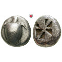 Aigina, Stater 500-480 v.Chr., ss