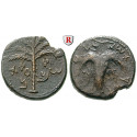 Judaea - Bar Kochba-Aufstand, Bronze Jahr 2 = 133-134, ss+