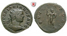 Römische Kaiserzeit, Florianus, Antoninian 276, ss-vz