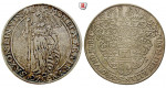 Sachsen, Sachsen-Weimar, Johann Ernst und 5 Brüder, Reichstaler 1623, ss+