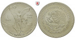 Mexiko, Vereinigte Staaten, Unze seit 1982, 31,1 g fein, bfr.