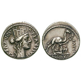 Römische Republik, A. Plautius, Denar 55 v.Chr., f.vz