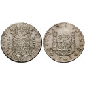 Mexico, Philipp V., 8 Reales 1743, vf-xf