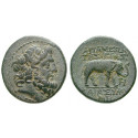 Seleukis and Pieria, Apameia, Bronze year 243 = 70-69 BC, vf-xf
