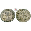 Roman Imperial Coins, Probus, Antoninianus, EF