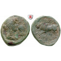 Phoenicia, Arados, Bronze year 375 = 116-117, fine