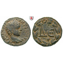 Roman Provincial Coins, Seleukis and Pieria, Antiocheia ad Orontem, Elagabalus, AE 218-222, vf / xf