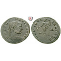 Roman Imperial Coins, Maximinus II, Follis 309-310, vf-xf