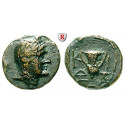 Bithynia, Kios, Bronze 3.cent. BC, vf