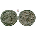 Roman Imperial Coins, Licinius I, Follis 316, nearly xf