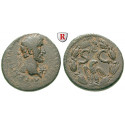Roman Provincial Coins, Seleukis and Pieria, Antiocheia ad Orontem, Antoninus Pius, AE, vf